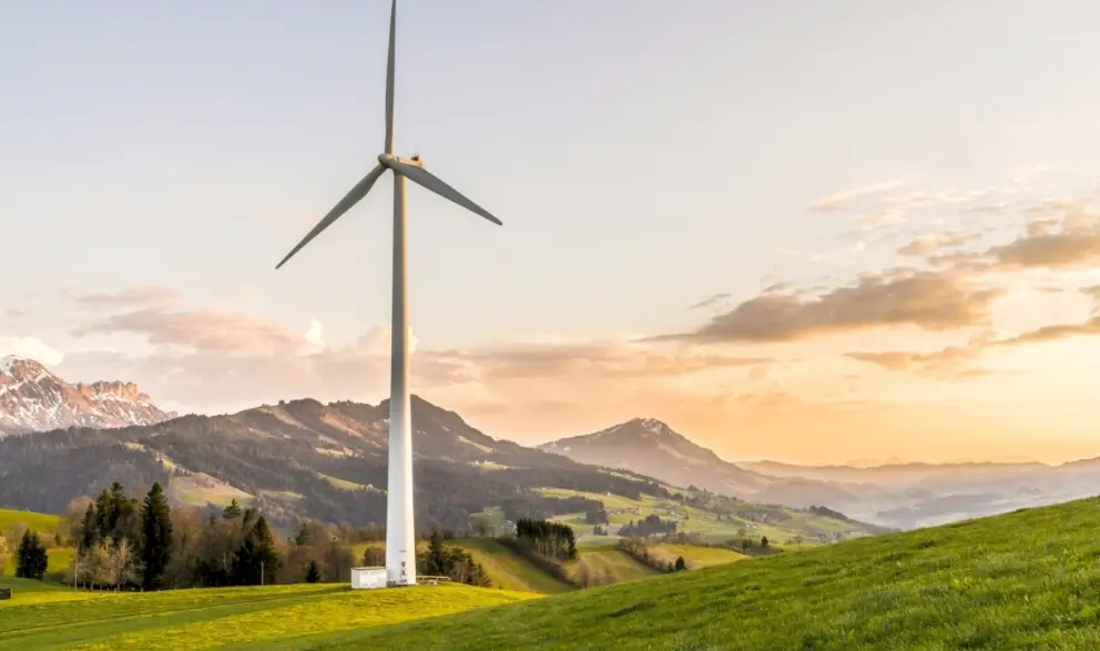 Type of carbon credits