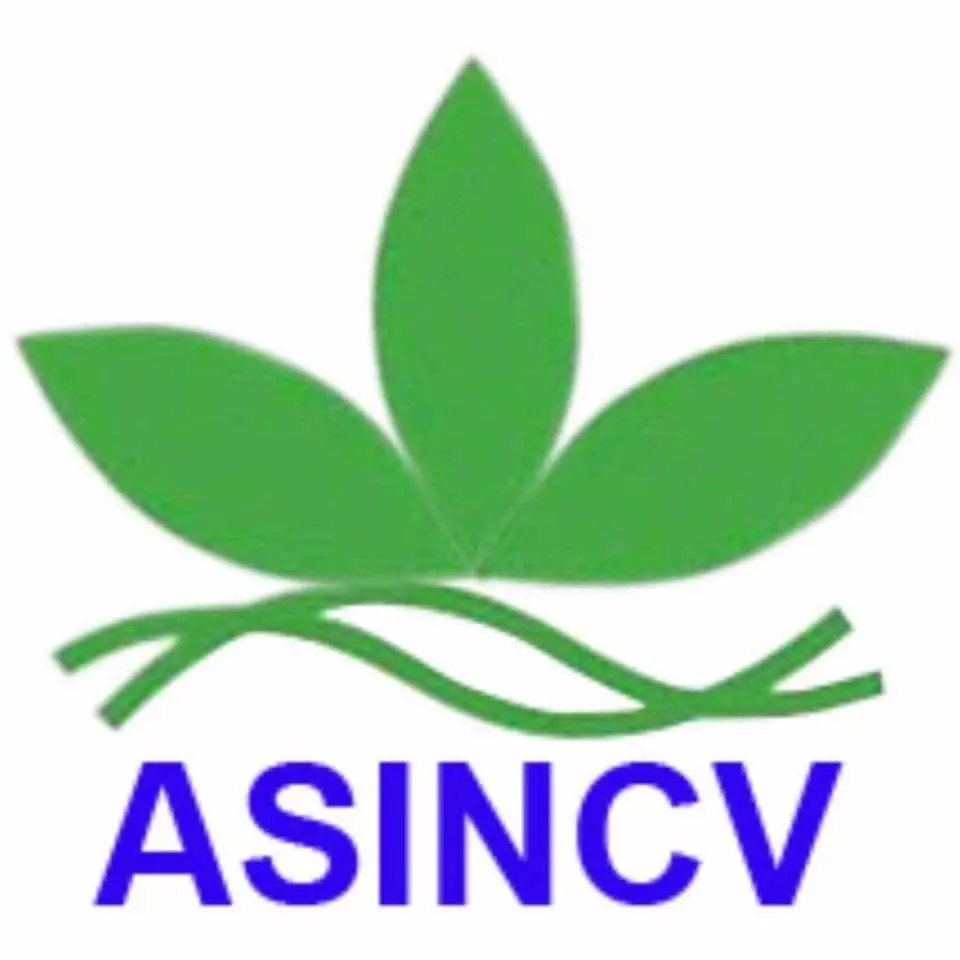 453075438_486030060741354_6564024959377191520_n