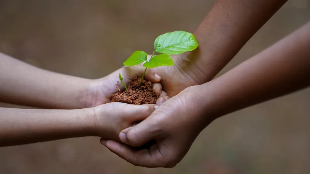 What is carbon credit?